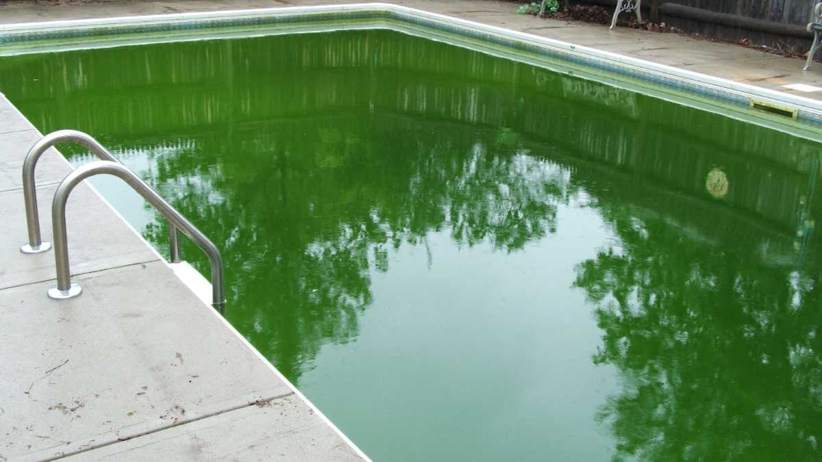 Preventing algae growth in an indoor swimming pool